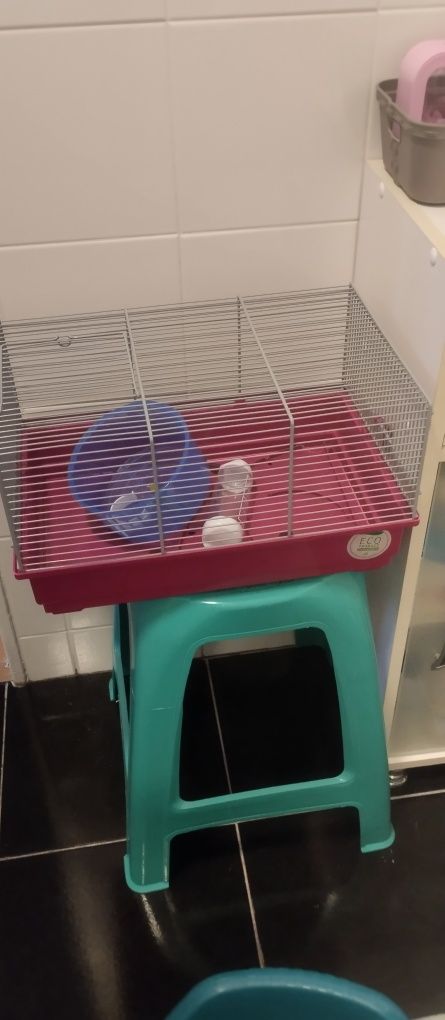 Gaiola hamster tamanho médio