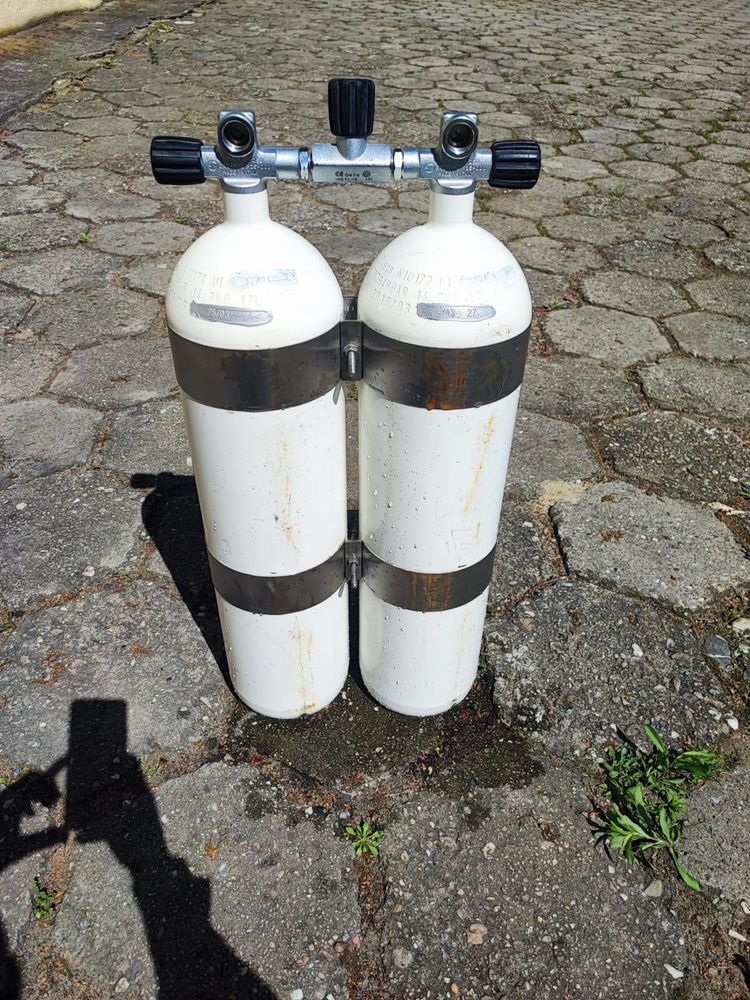 TwinSet świerza legalizacja 2x12 L