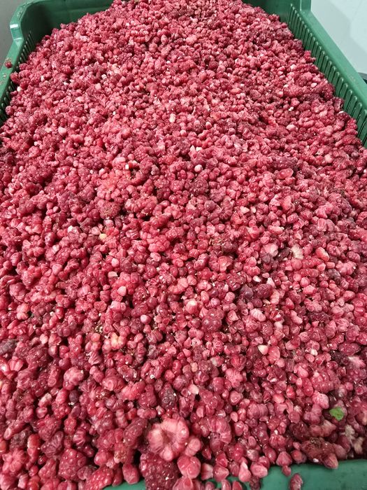 Продам ожину,малину,грис.