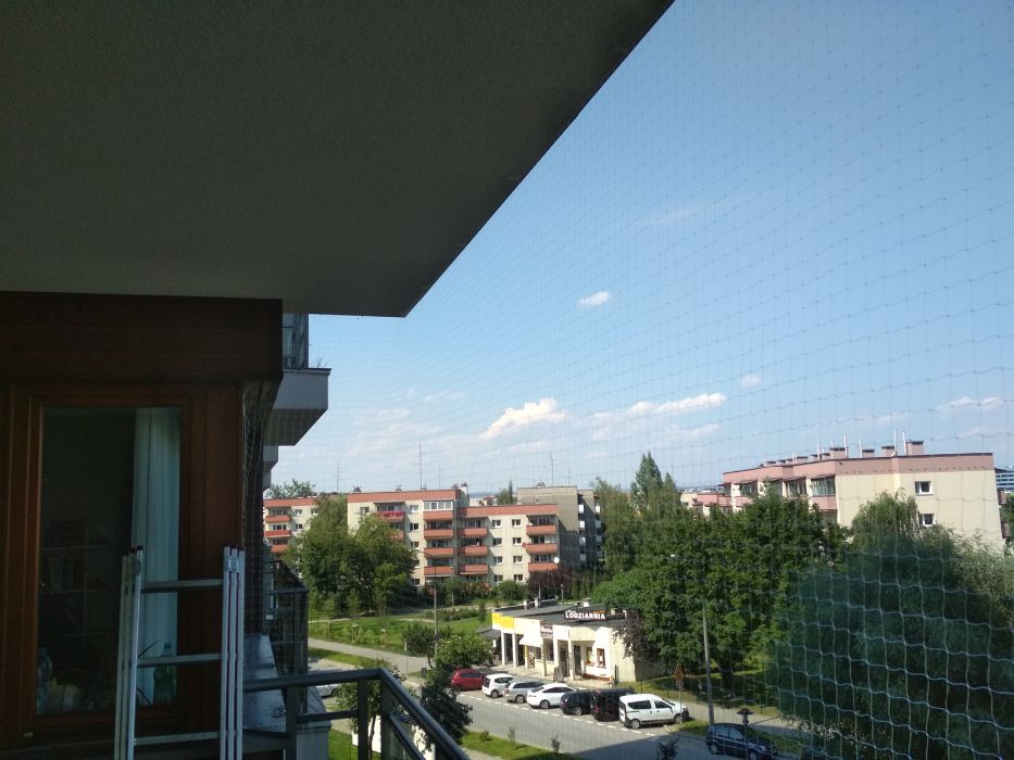 Odstraszanie ptaków, siatki na gołębie, siatki na balkon dla kota