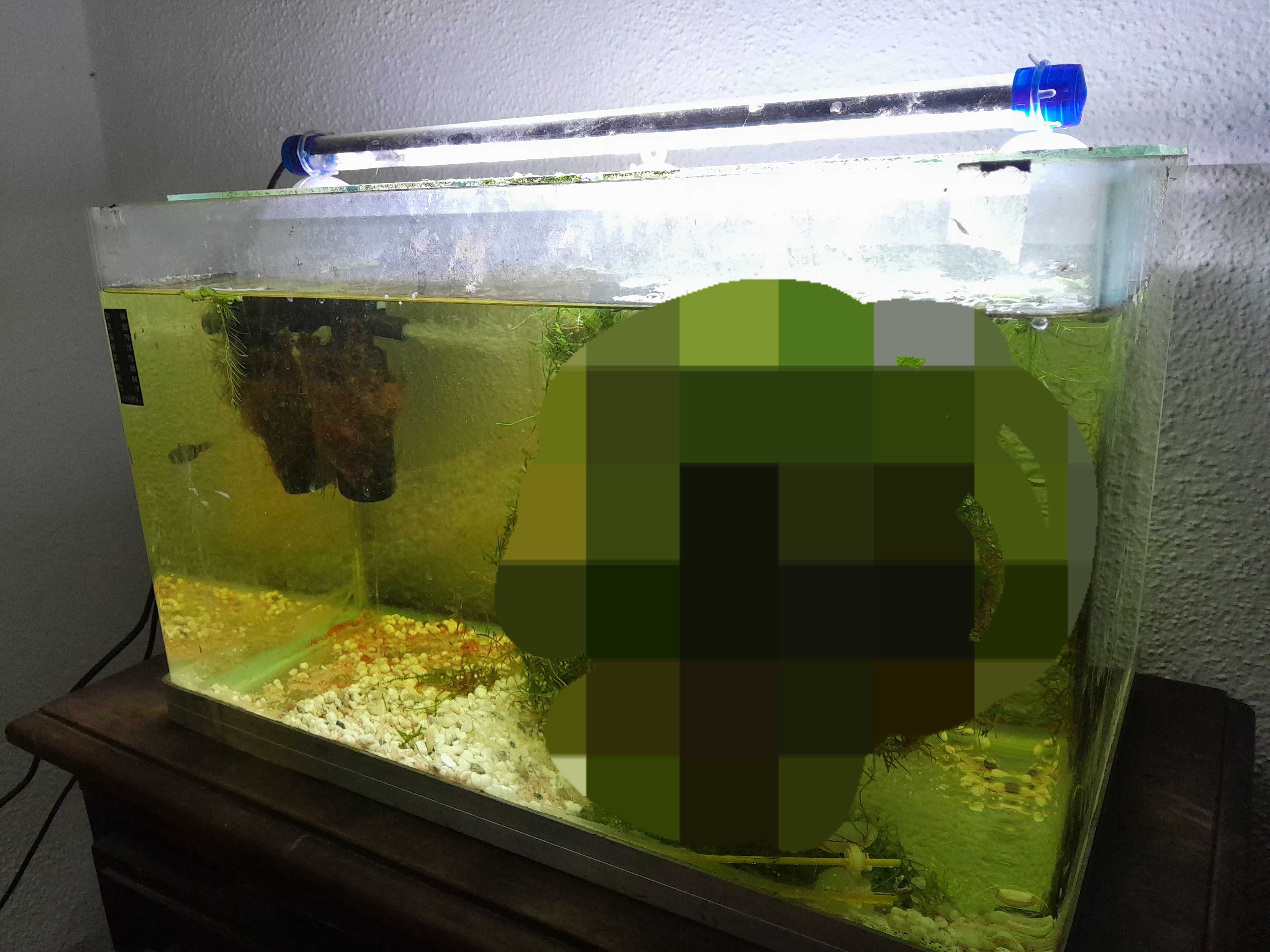 Vendo aquário de 30l com filtro