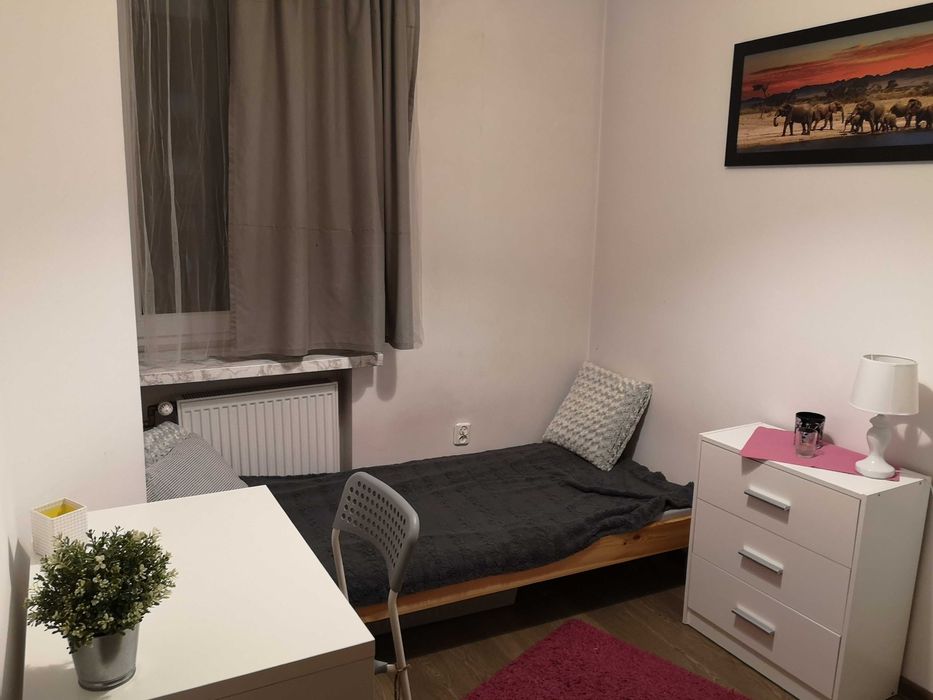 Pokój do wynajęcia/Single room for rent, Załęże