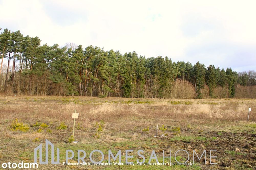 Działka, Biała Rawska