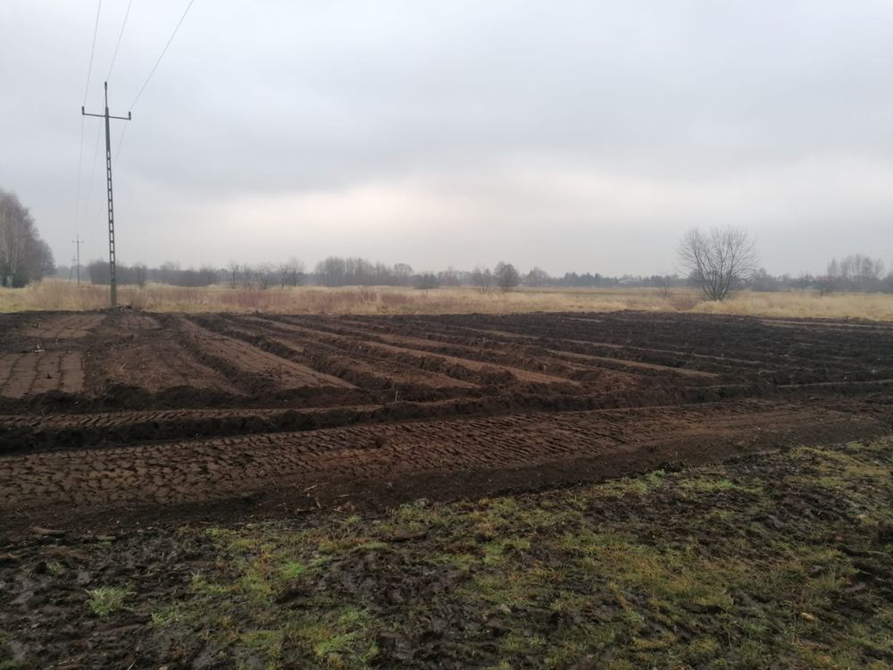 Mulczer leśny wgłębny powierzchniowy mulczowanie wycinka drzew działek
