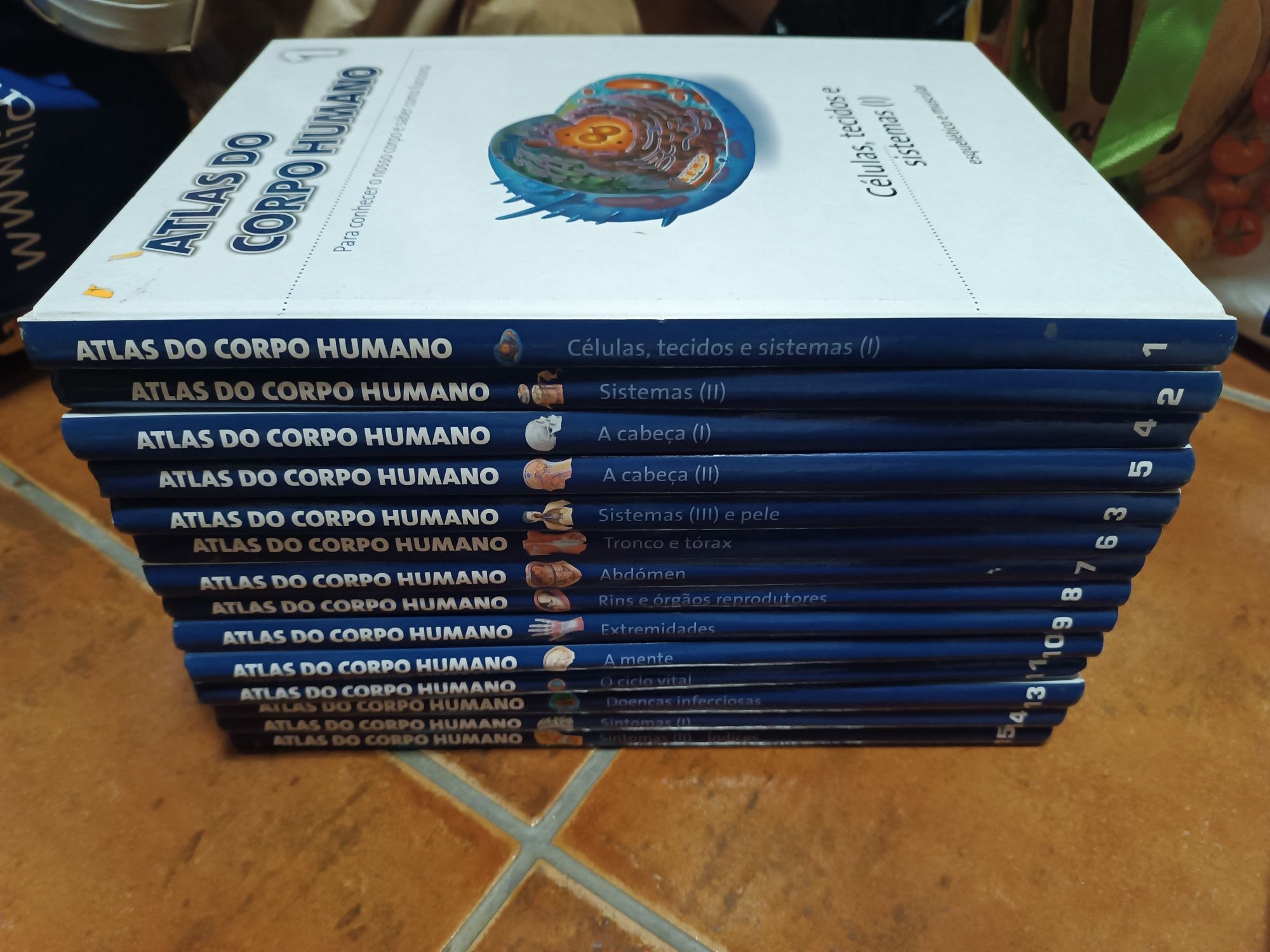 Colecção Atlas do corpo Humano