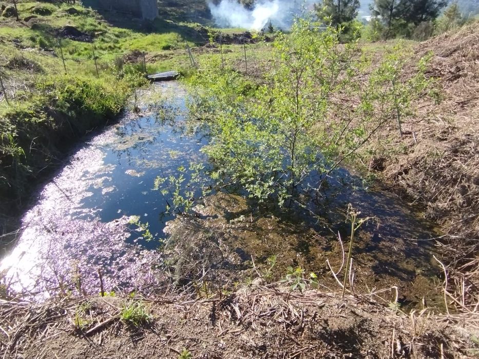 Quinta 5 ha – Figueiró da Granja / Fornos de Algodres