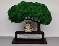 Drzewo bonsai mech 3D stojące zakończenie roku sowa książki dowol graw