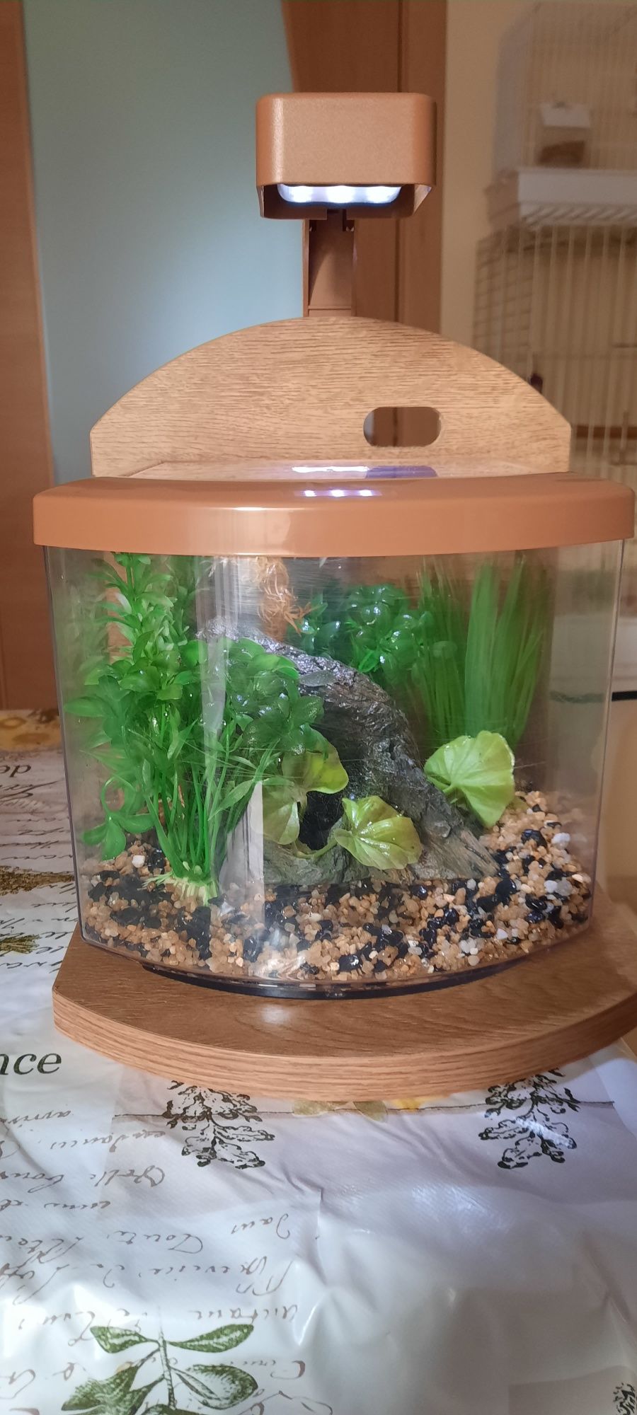Aquario com aproximadamente 5 litros