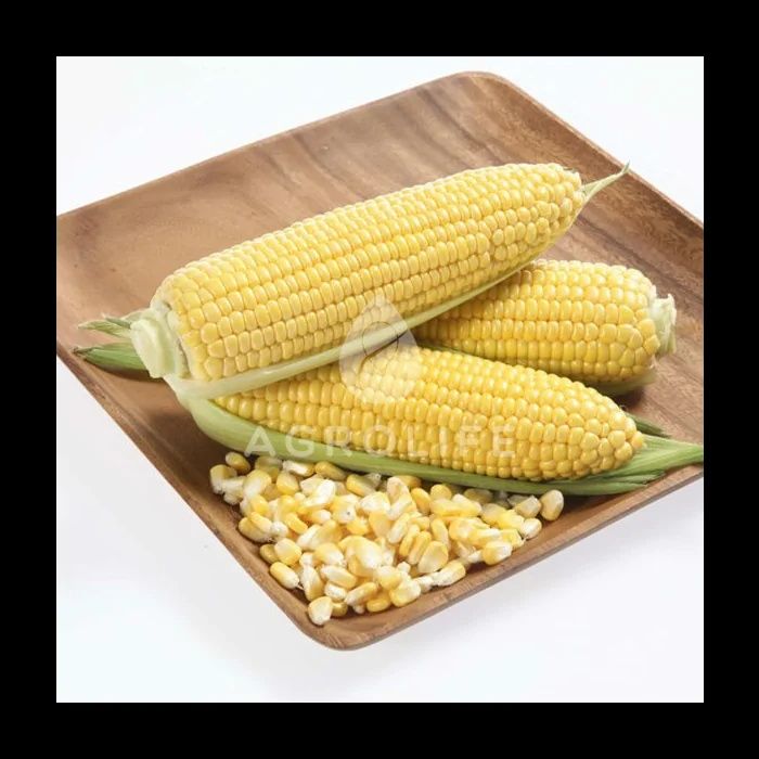 Продам слодку кукурудзу