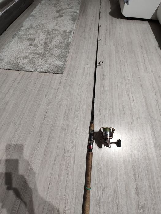 Wędka spinning Daiwa  2,70 7-28g