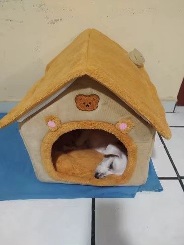 Домик лежак котів собак (тварин животных) будинок