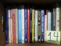 LOTE 14  -VENDIDOS EM SEPARADO - Livros Baratos - Vários Preços