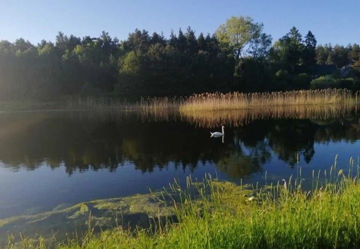 Wynajmę domek  5-6 osobowy na Kaszubach w Bartoszymlesie