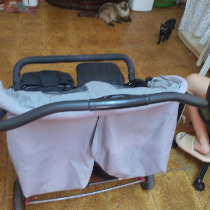 Carro de bebê de gêmeos
