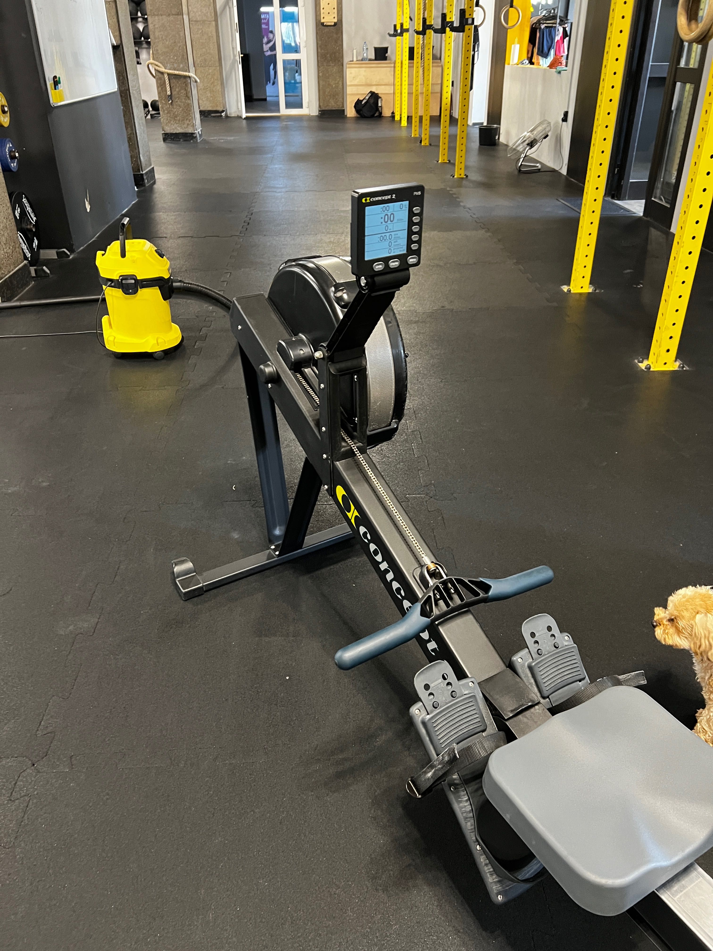Ergometr Wioślarski Concept2, RowErg PM5
