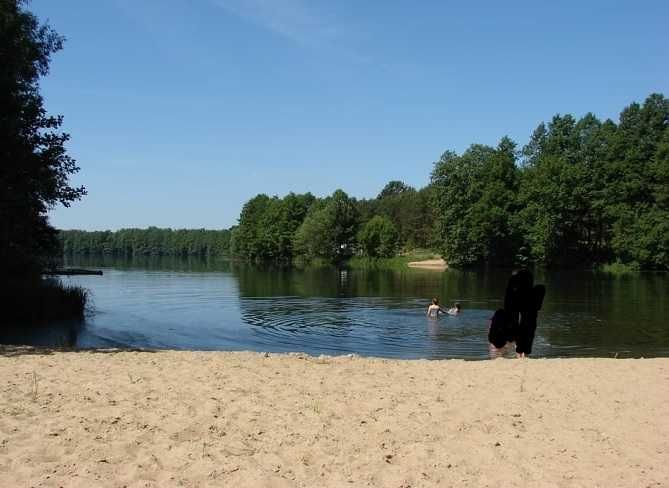 Wolne terminy! Domek nad samym jeziorem, ryby, grzyby, bunkry, lasy.