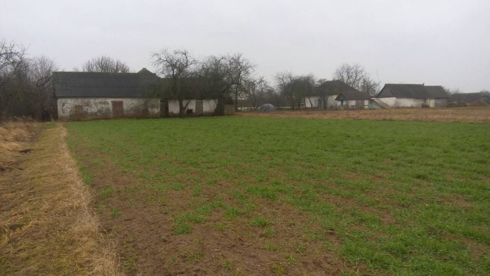 Будинок в с. М.Фосня Овруцький р-н