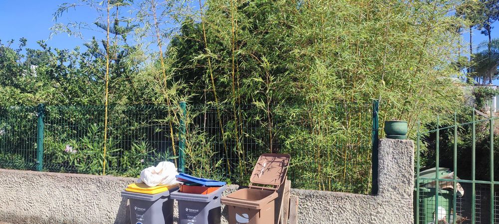 Serviço de jardinagem