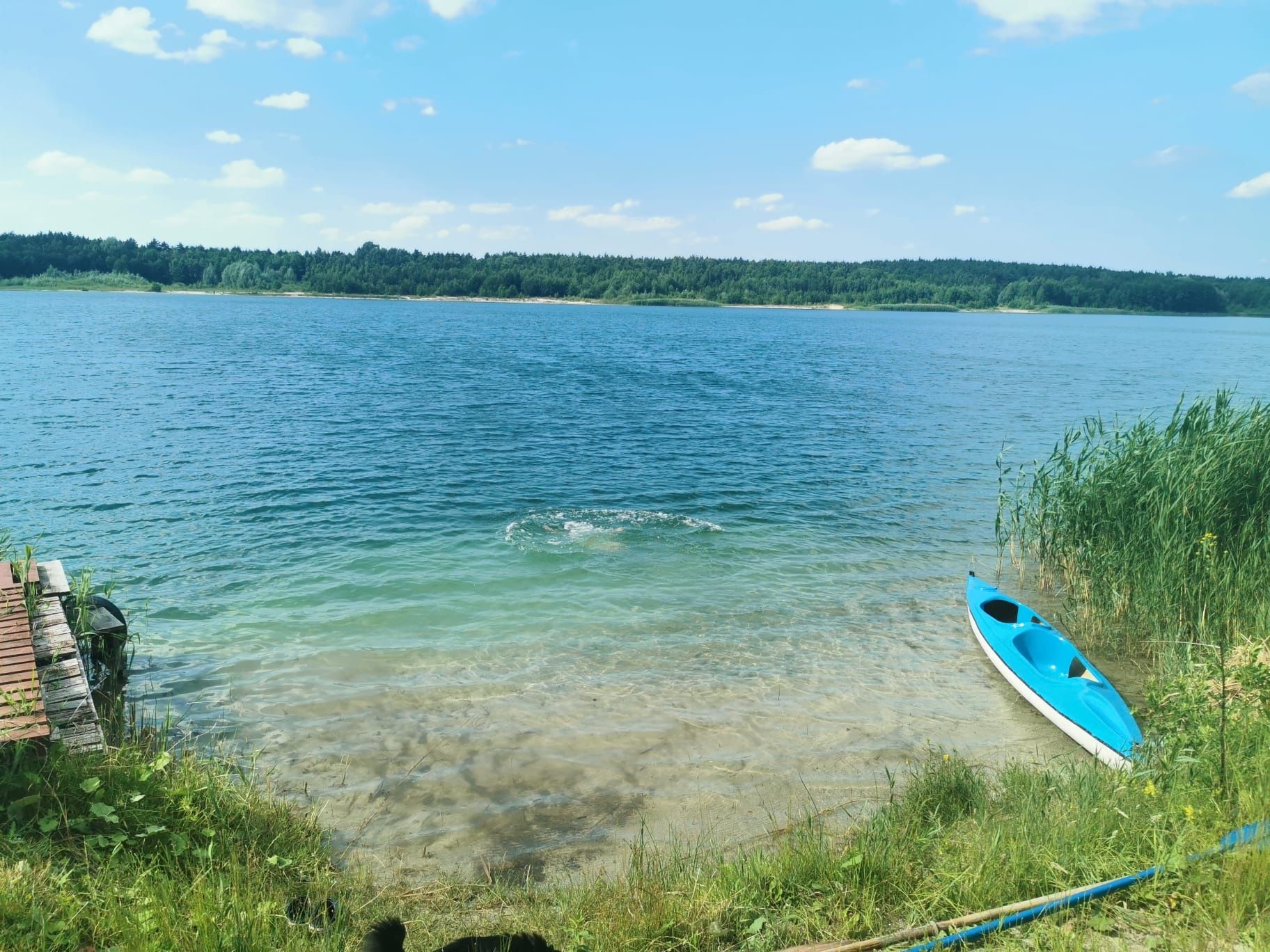 Domki w pierwszej linii brzegowej jeziora Budzisławskiego, Treby Stare