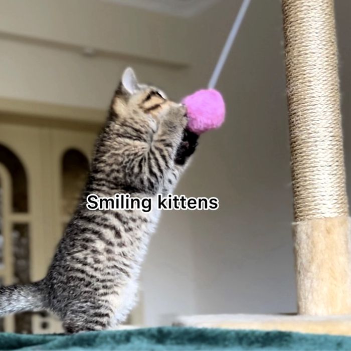 Малюки з красивими візерунками