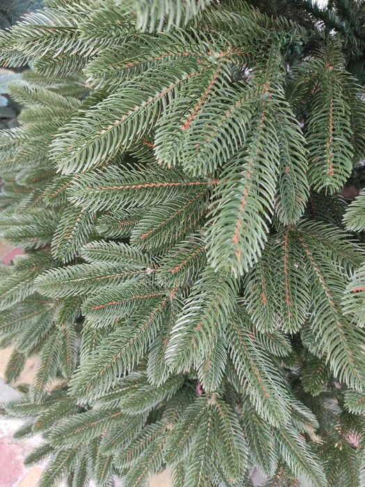 Лита ялинка Преміум зелена блакитна Ялинка штучна пластику Елка литая