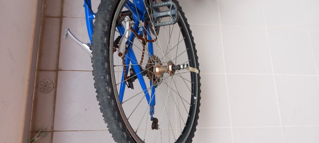 Bicleta para reforma