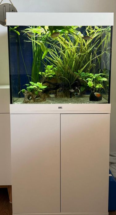 Juwel Lido 200 LED białe akwarium z szafką