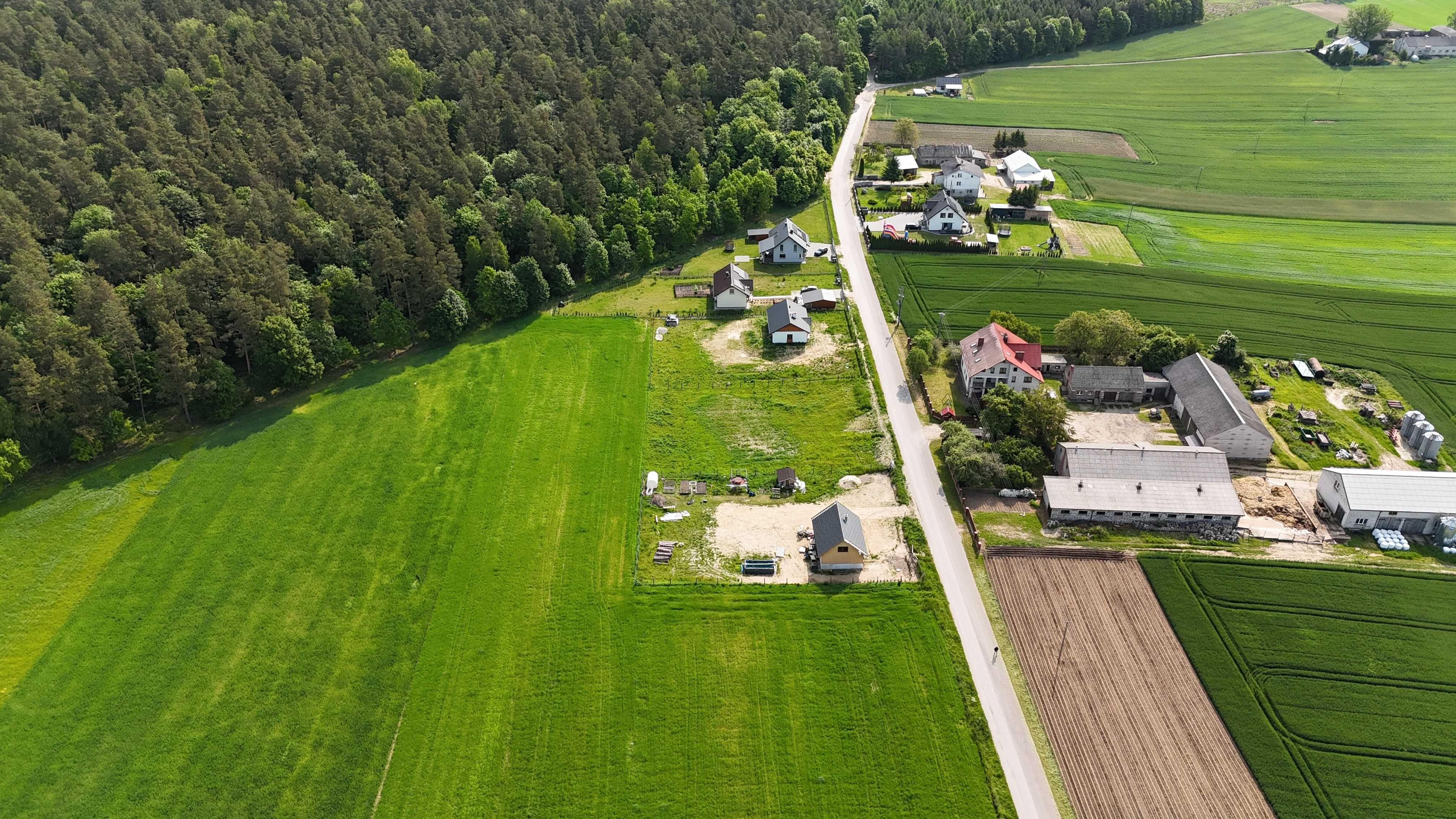 Działki budowlane blisko lasu. Piesienica(woj. pomorskie)