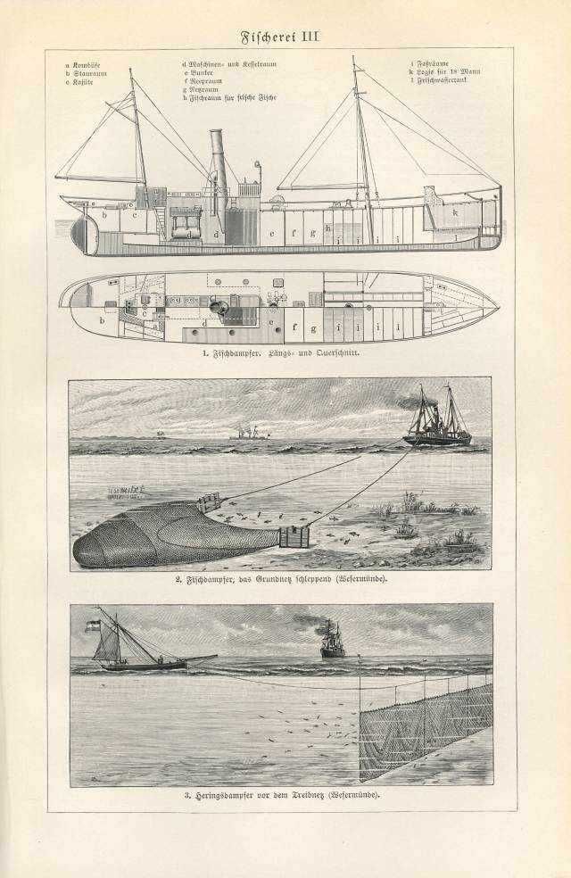 Statki, Żaglowce, Marynistyka  stara XIX w. grafika