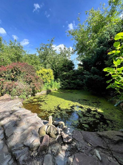 Продаж будинку, с. Ставчани ( Дібрівка)