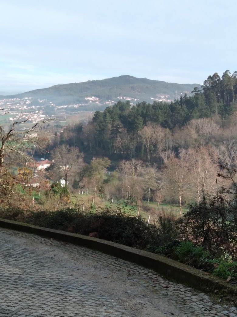 Vendo quinta ,arredores de Braga