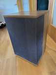 BOSE 501 Series IV Direct/Reflecting speakers