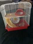 Gaiola para hamster
