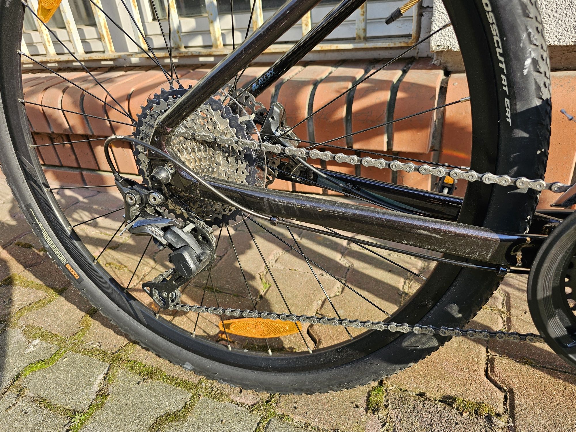 Rower giant roam 0