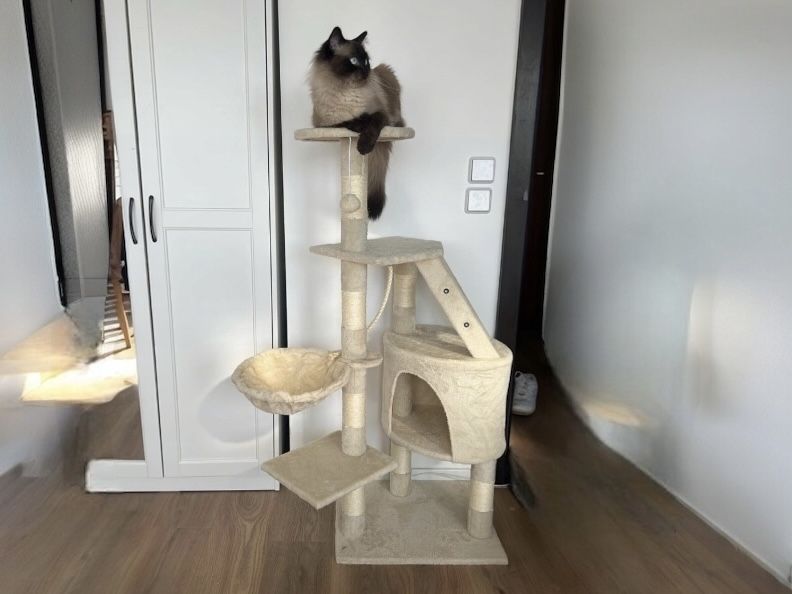 Dtapak dla Kota Beżowy Wysoki Legowisko Domek Hamak Stabilny