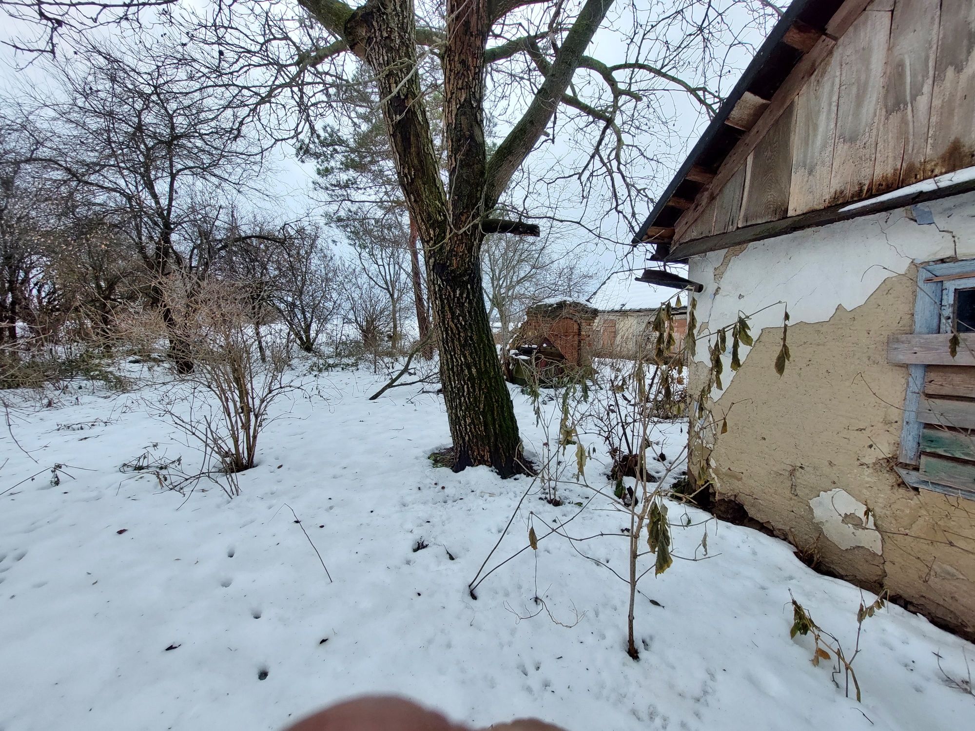 Земельна ділянка,20 км від Луцьку