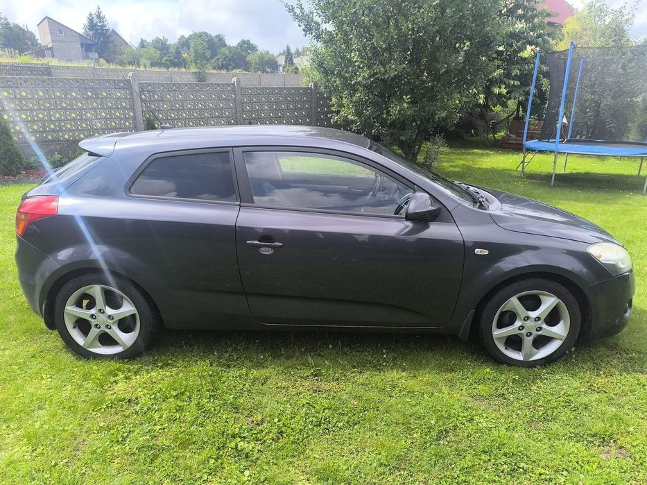 Kia Ceed Ceed/1.6 Benzyna/Niski przebieg