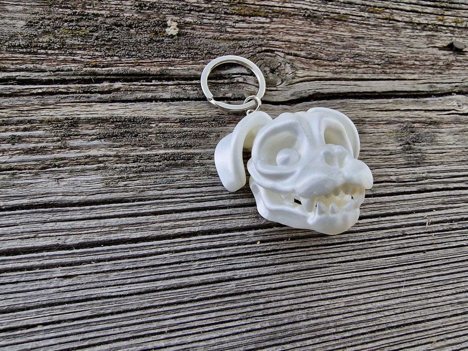 porta chaves cranios animais imprimido 3d