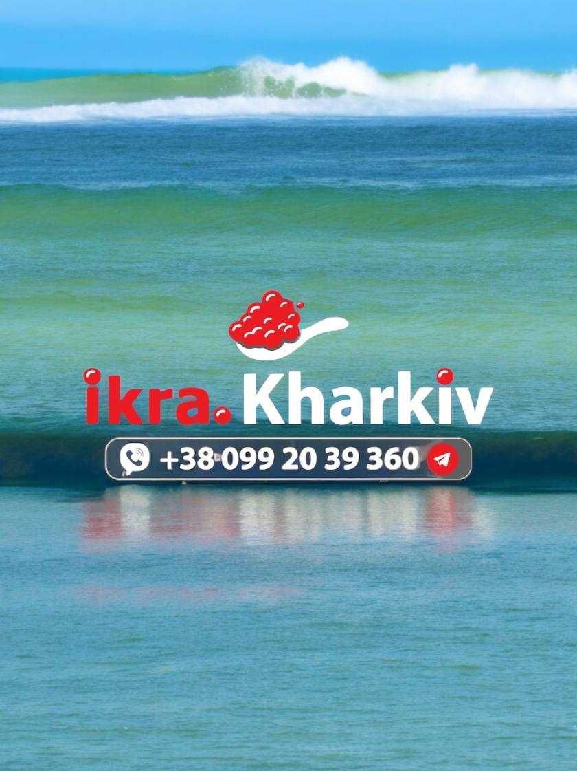 Подарочный икра набор 10+1шт бонусом