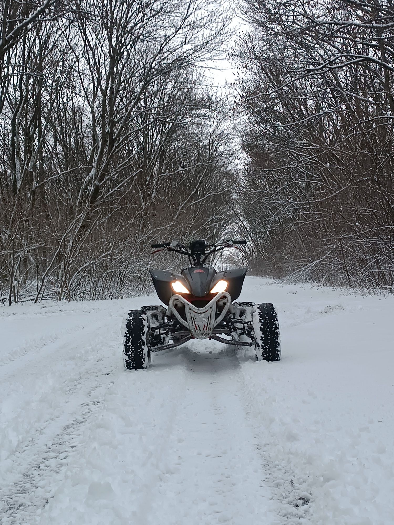 Yamaha yfz 450 swap