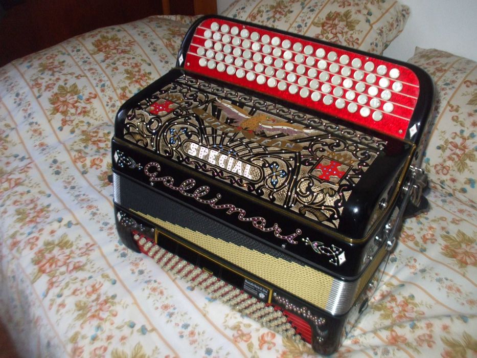Acordeon de Botões Marca Gallinari 3ª voz Electrificado