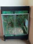 Terrarium dla gadów