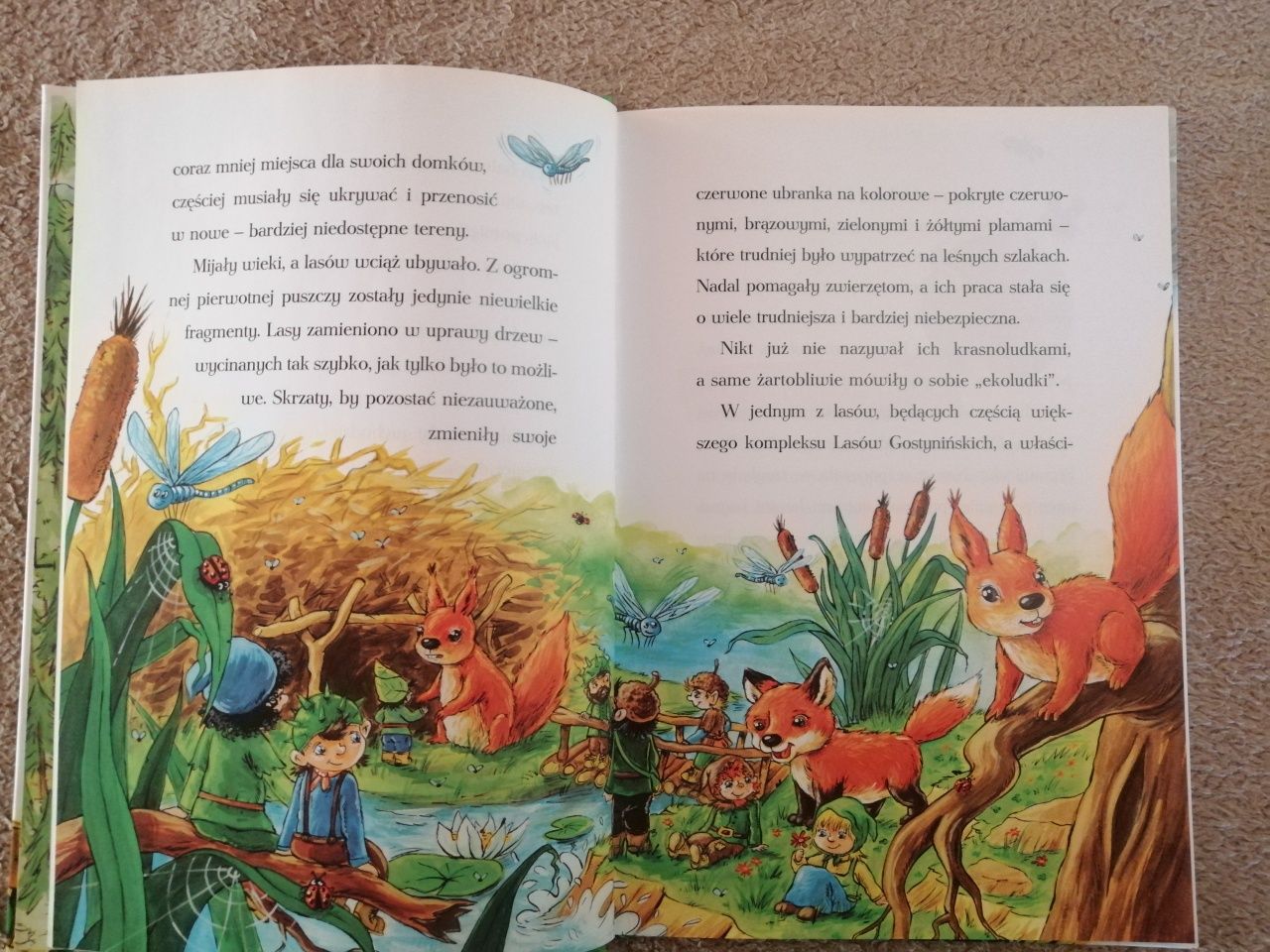 Książka "Przygody leśnych skrzatów" Nudzimisie