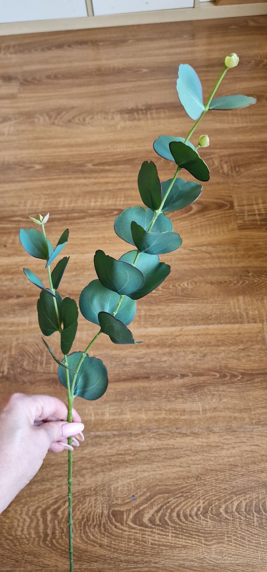 EUKALIPTUS gałązka- silikonowo- gumowy, przepiękny, jak żywy, wys.78cm