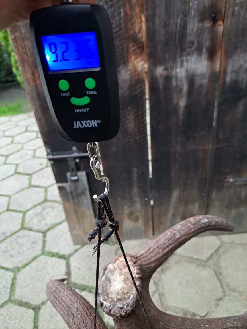 9,2 kg poroze rogi zrzuty