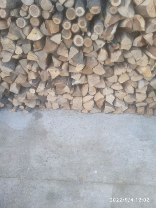 Продам дрова рубаний твердих порід
