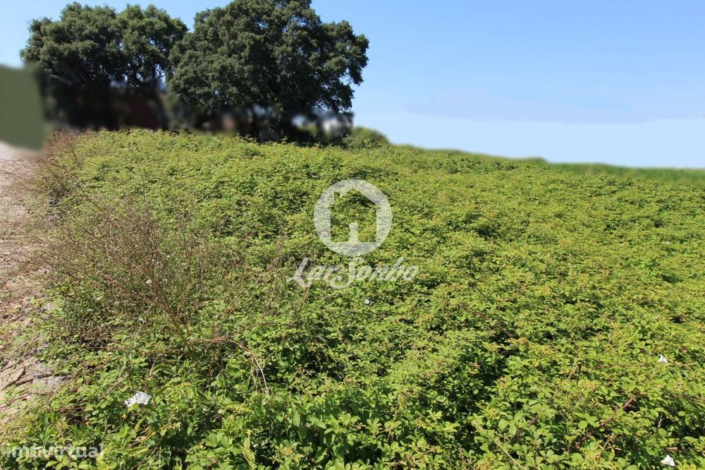 Terreno para construção