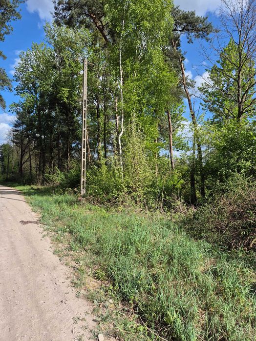 Działka nad rzeką w otoczeniu lasów