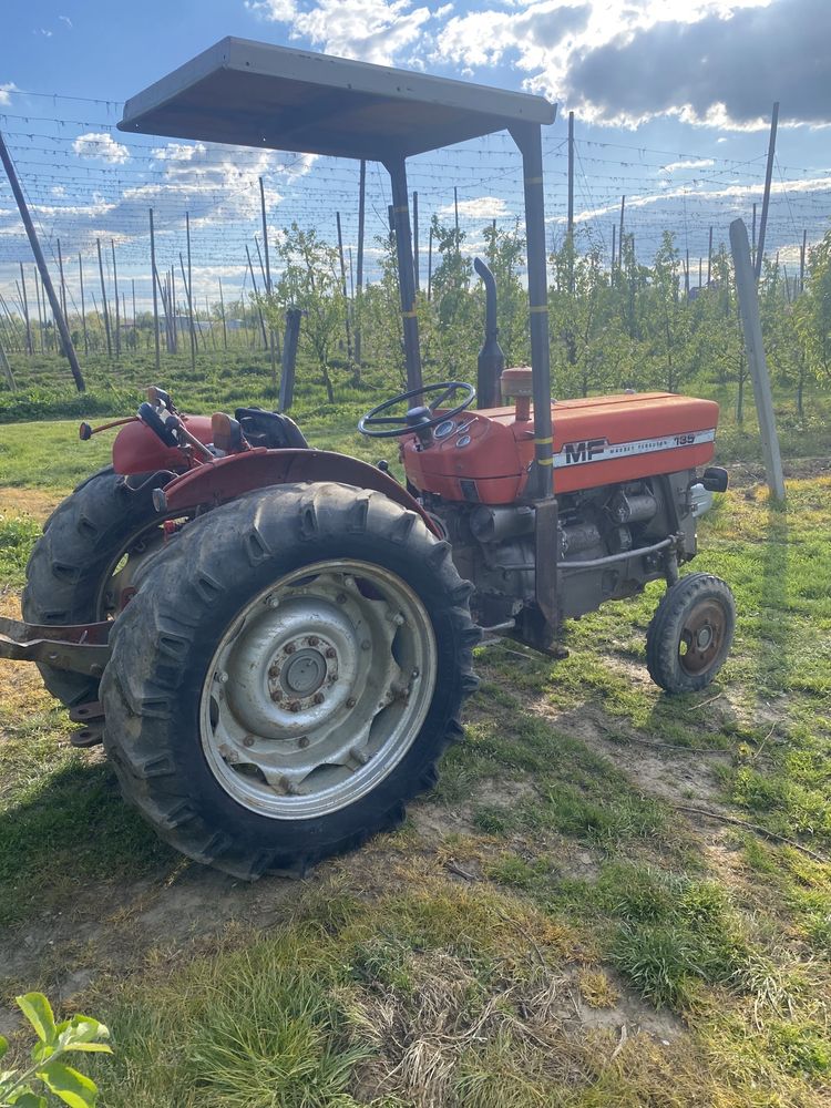 Massey Ferguson MF 135V mklll, 3cyl 47KM, sadowniczy, 255,235,147