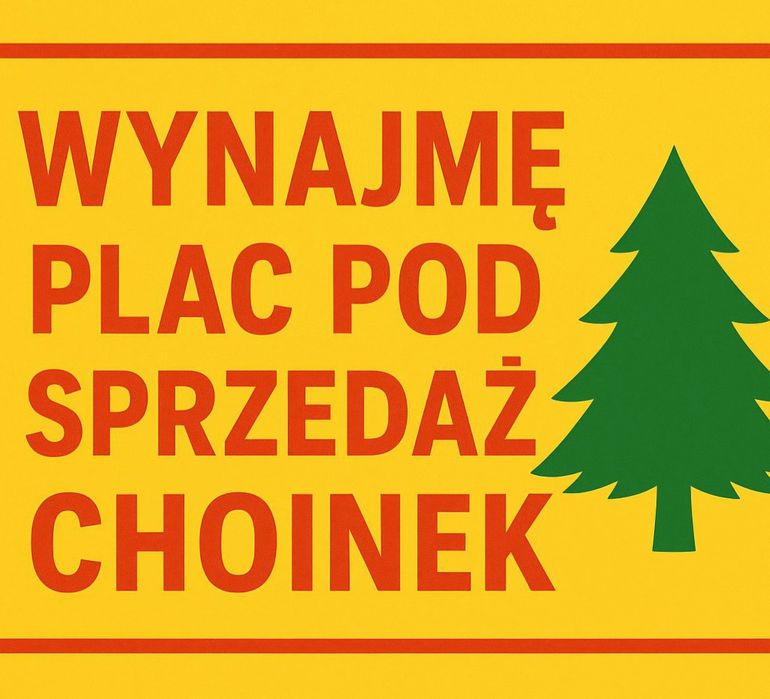 Wynajmę plac pod sprzedaż Choinek w Kłodzku
